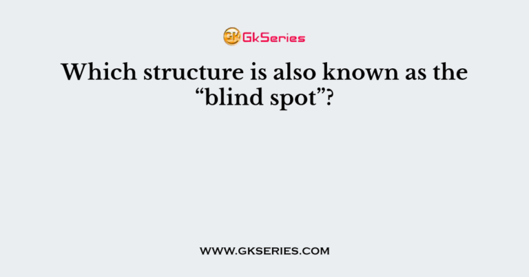 Which Structure Is Also Known As The “blind Spot”?