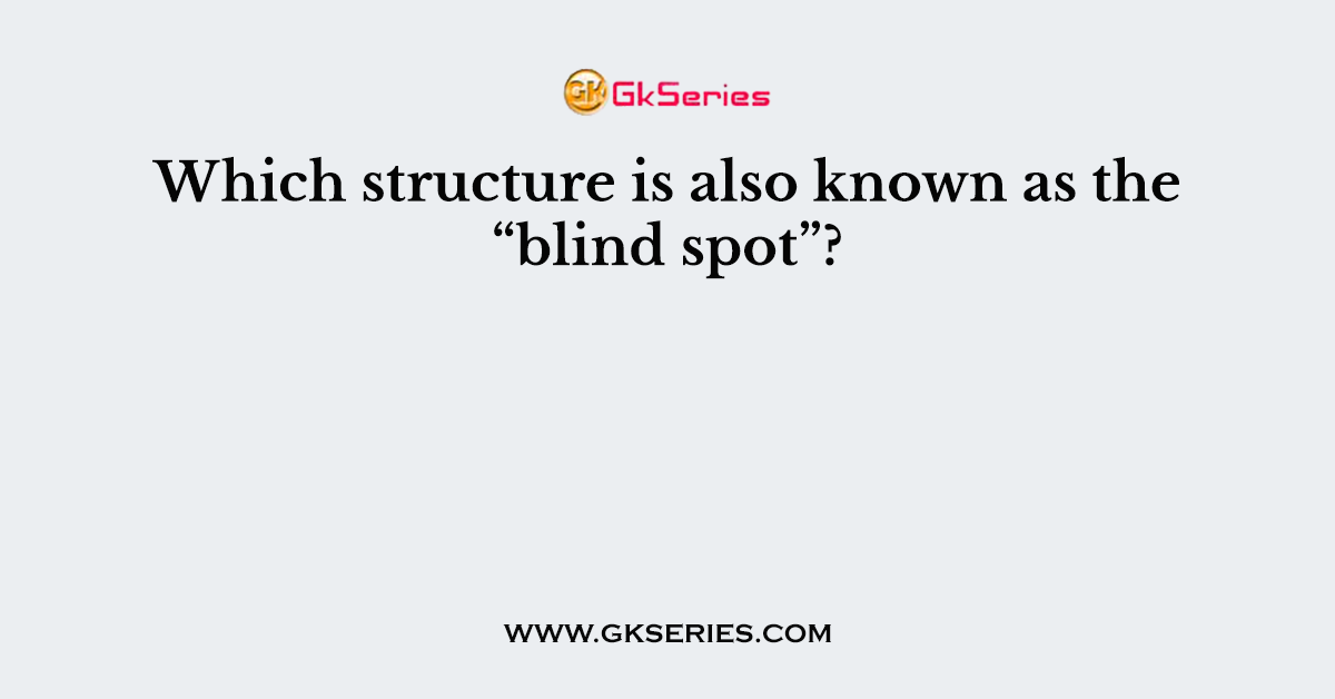 Which structure is also known as the “blind spot”?