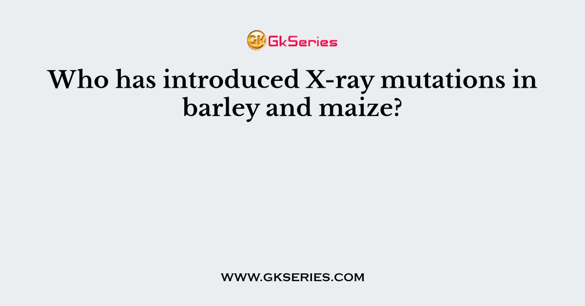 Who has introduced X-ray mutations in barley and maize?