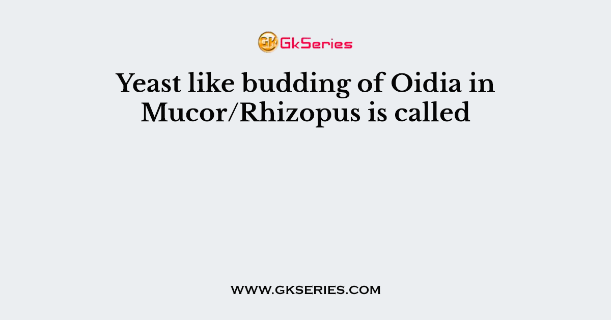 Yeast like budding of Oidia in Mucor/Rhizopus is called