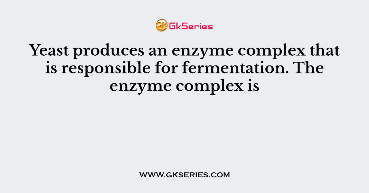 Yeast produces an enzyme complex that is responsible for fermentation. The enzyme complex is