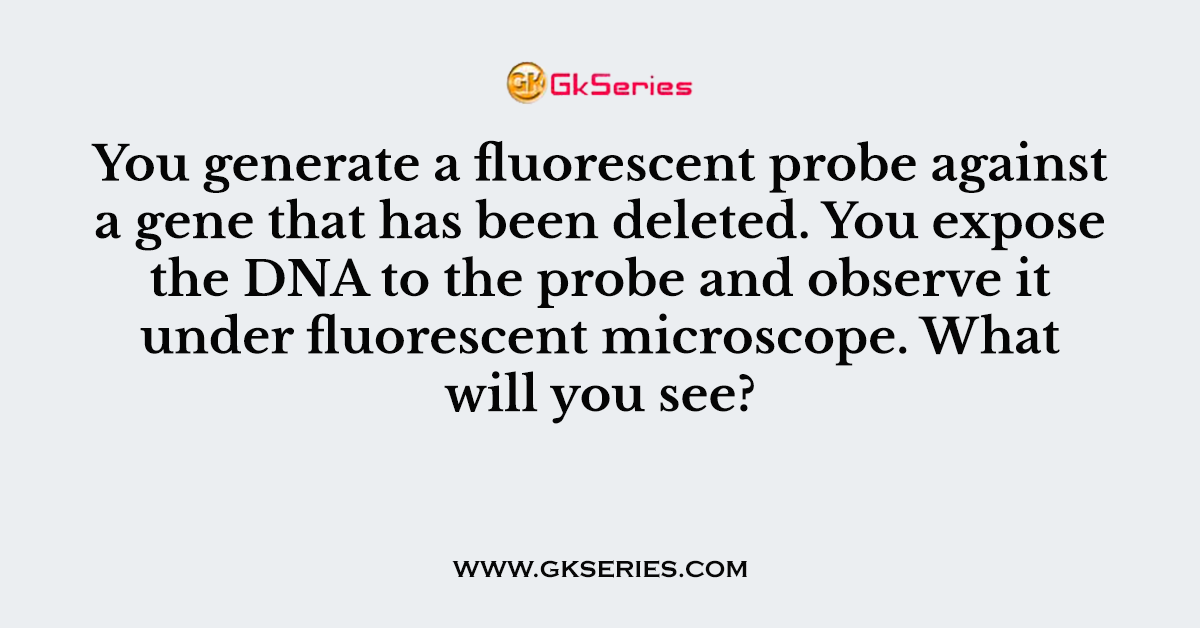 You generate a fluorescent probe against a gene that has been deleted. You expose the DNA to the probe and observe it under fluorescent microscope. What will you see?