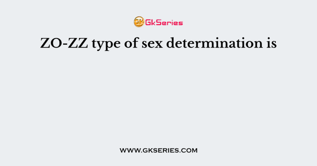 ZO-ZZ type of sex determination is