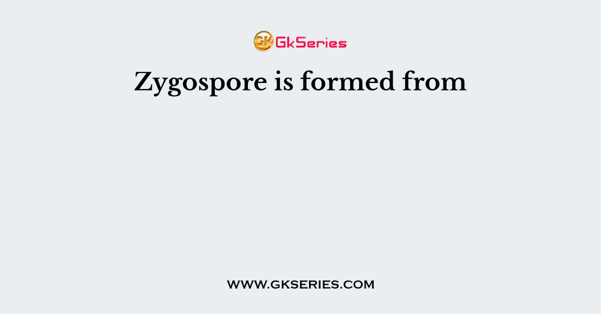 Zygospore is formed from