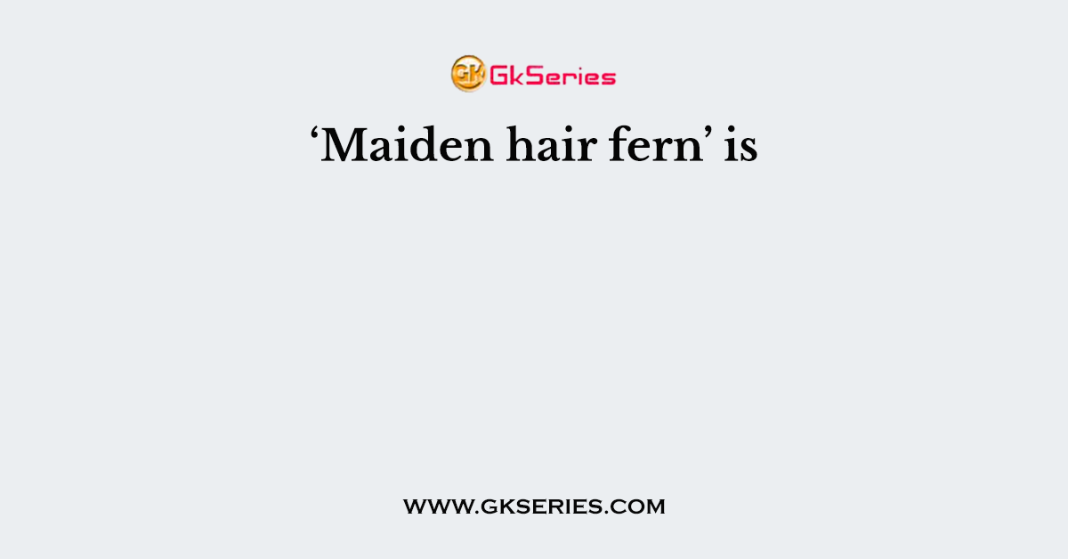 ‘Maiden hair fern’ is