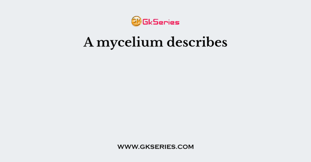 A mycelium describes