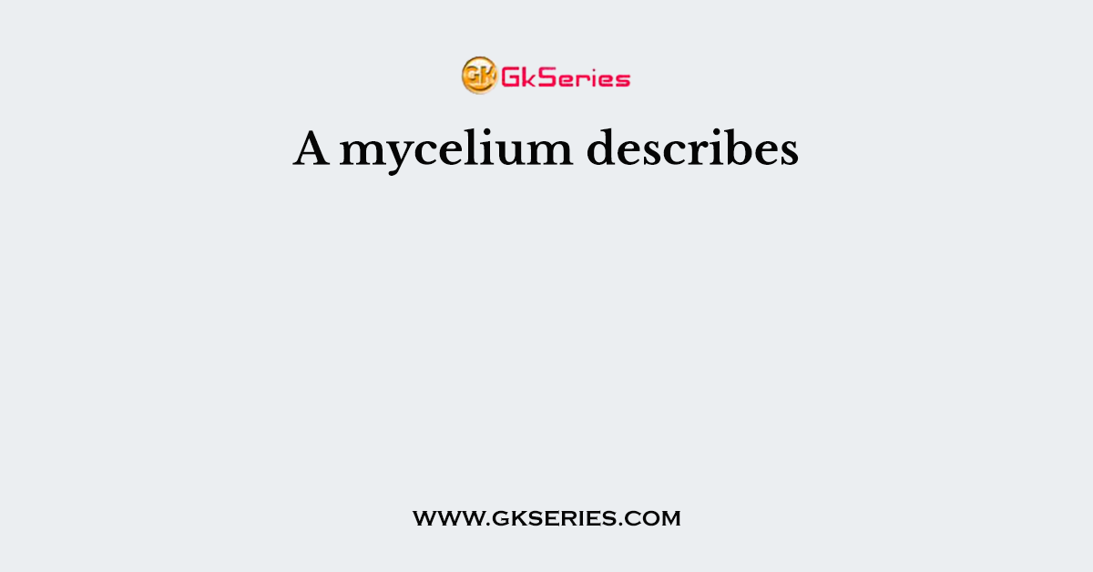 A mycelium describes