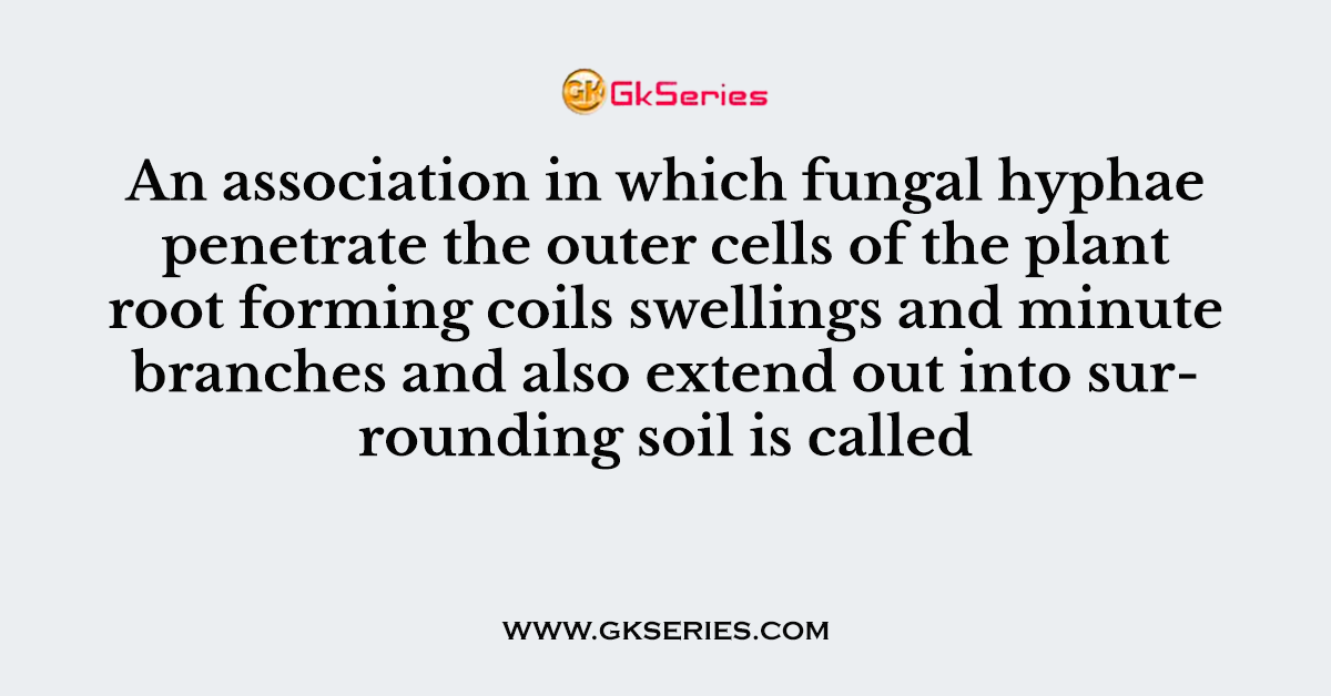 An association in which fungal hyphae penetrate the outer cells of the plant root forming coils swellings and minute branches and also extend out into surrounding soil is called