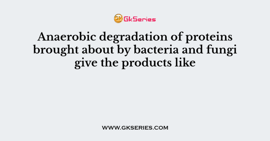 Anaerobic degradation of proteins brought about by bacteria and fungi give the products like