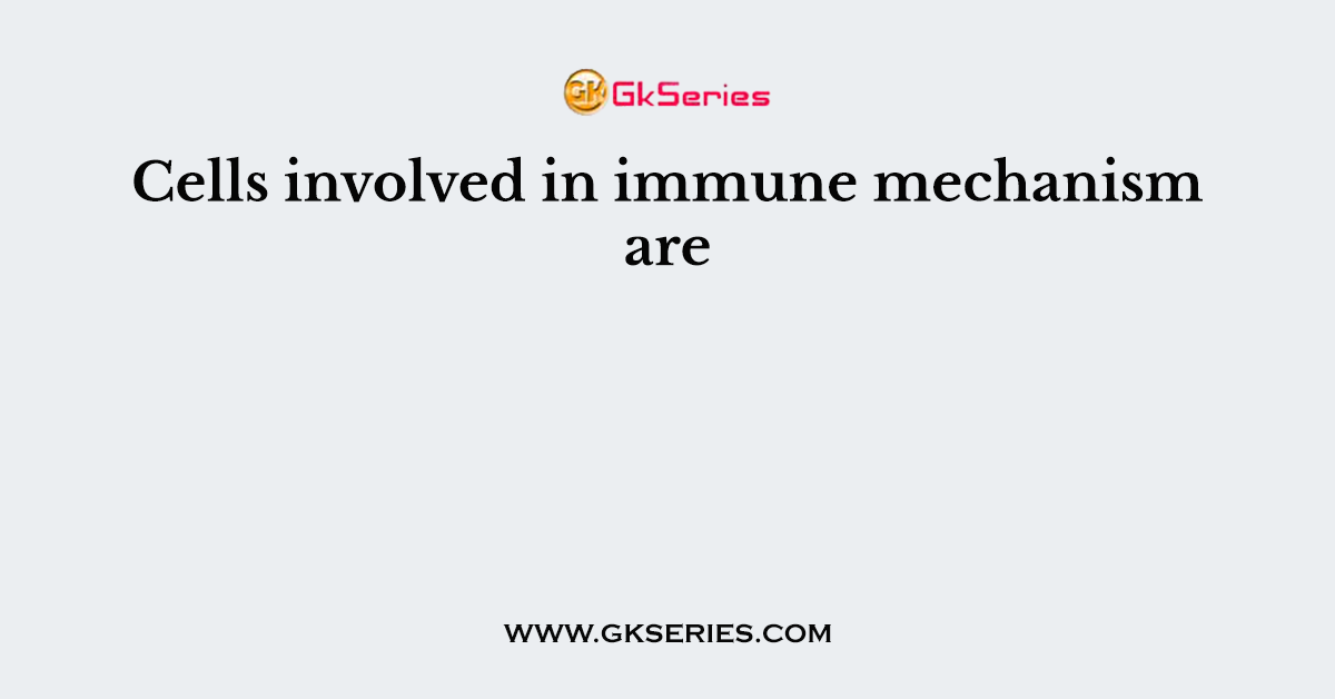 Cells involved in immune mechanism are