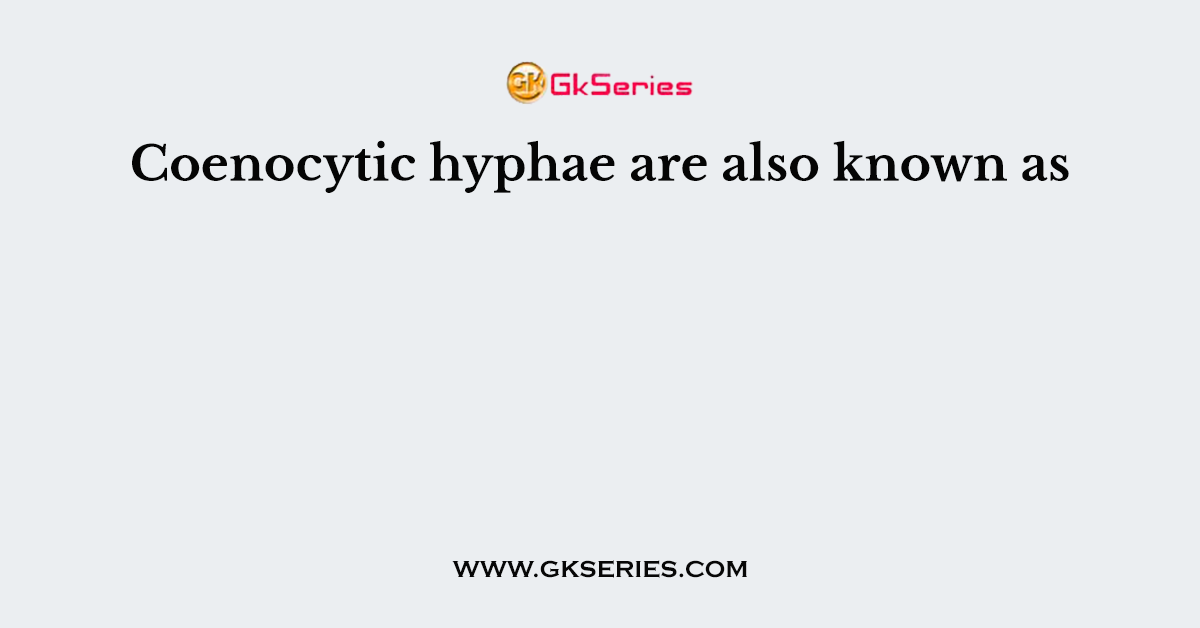 Coenocytic hyphae are also known as