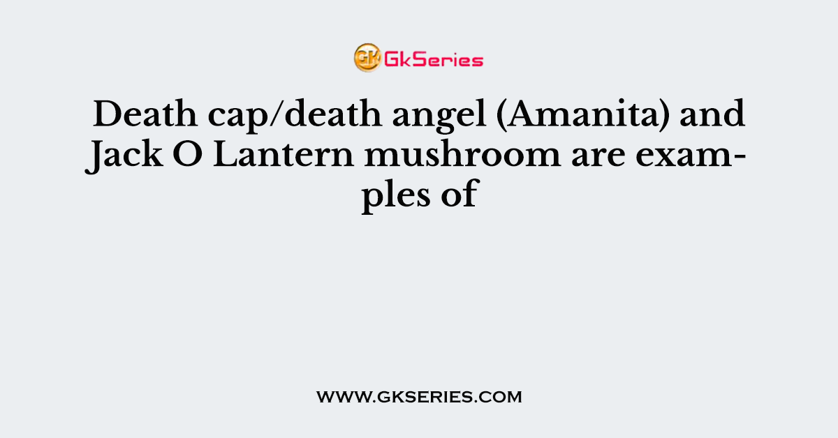 Death cap/death angel (Amanita) and Jack O Lantern mushroom are examples of