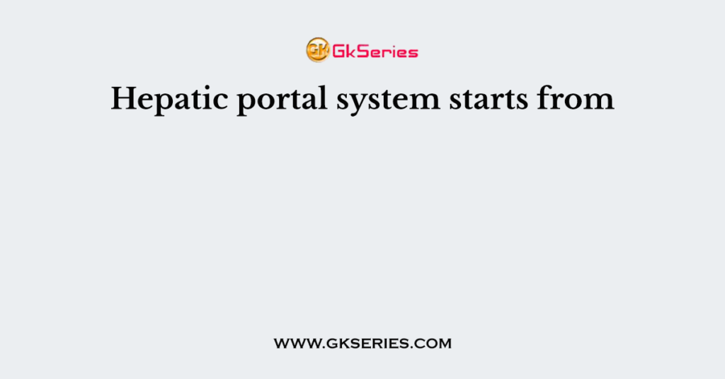 Hepatic portal system starts from