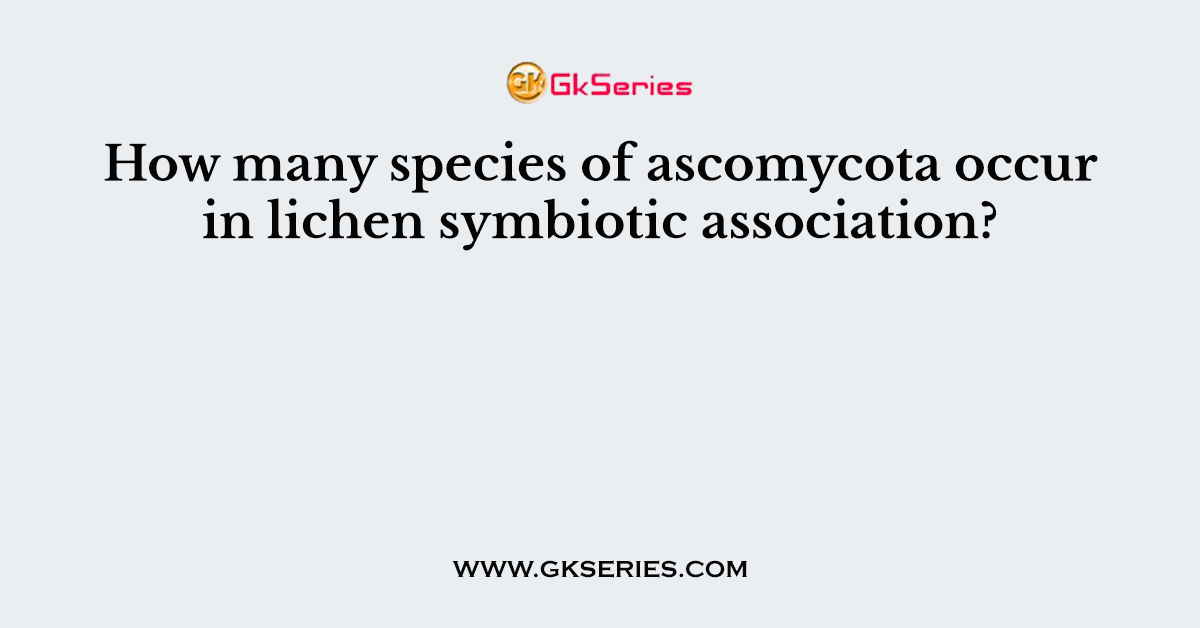 How many species of ascomycota occur in lichen symbiotic association?