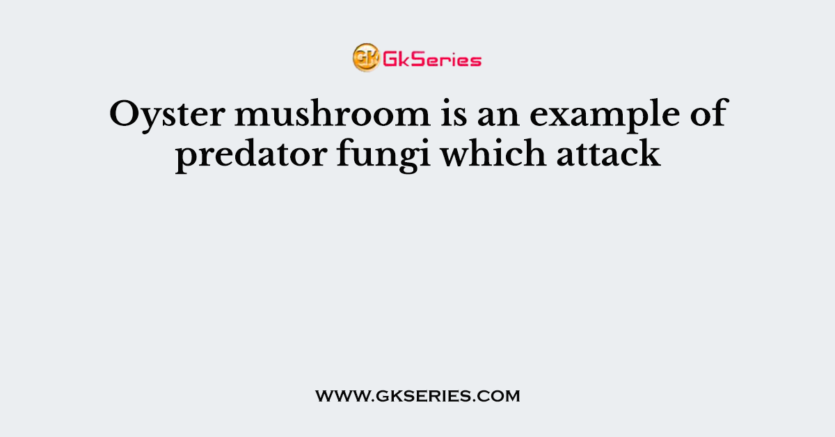 Oyster mushroom is an example of predator fungi which attack