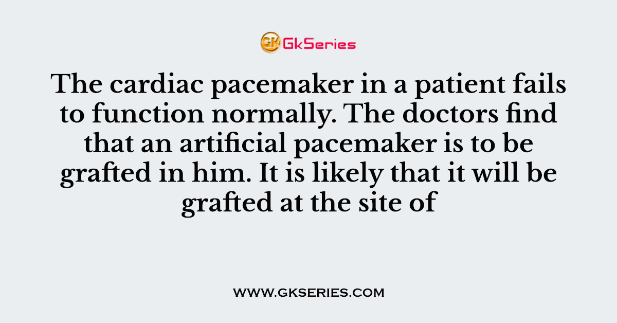 The cardiac pacemaker in a patient fails to function normally. The doctors find that an artificial pacemaker is to be grafted in him. It is likely that it will be grafted at the site of