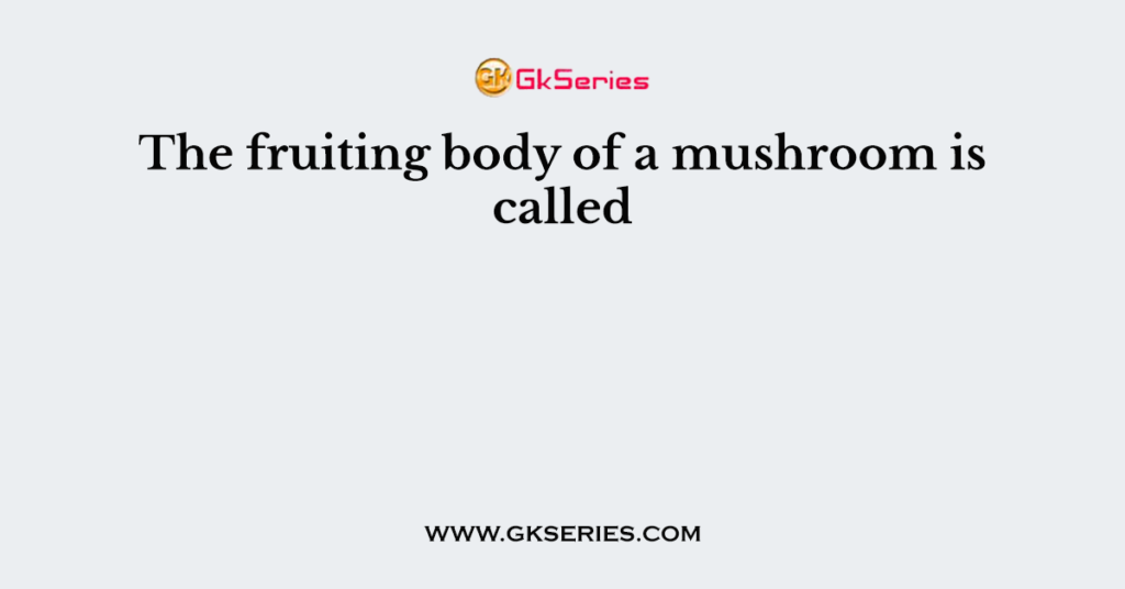 The fruiting body of a mushroom is called