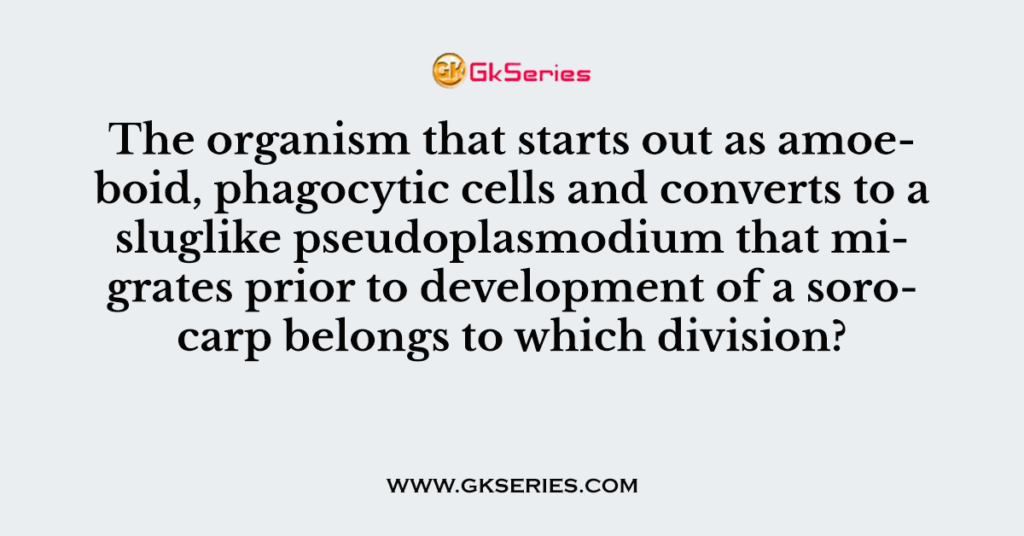 The organism that starts out as amoeboid, phagocytic cells and converts to a sluglike pseudoplasmodium