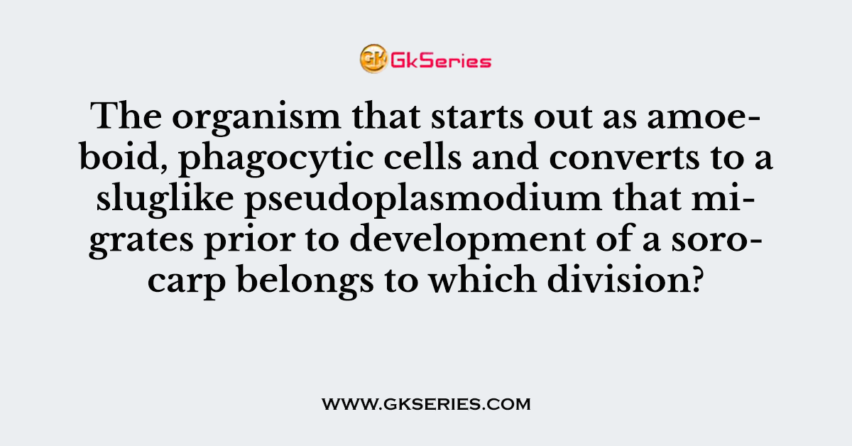 The organism that starts out as amoeboid, phagocytic cells and converts to a sluglike pseudoplasmodium