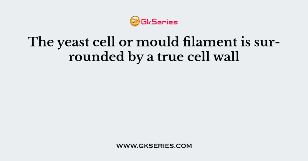 The yeast cell or mould filament is surrounded by a true cell wall