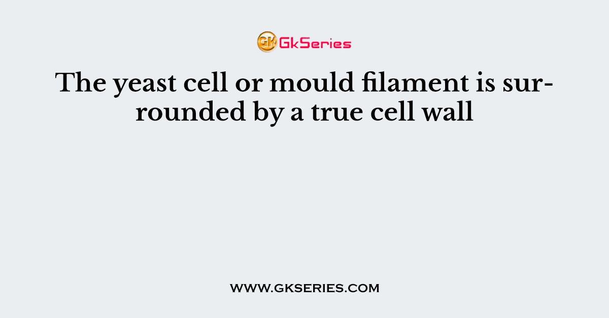 The yeast cell or mould filament is surrounded by a true cell wall