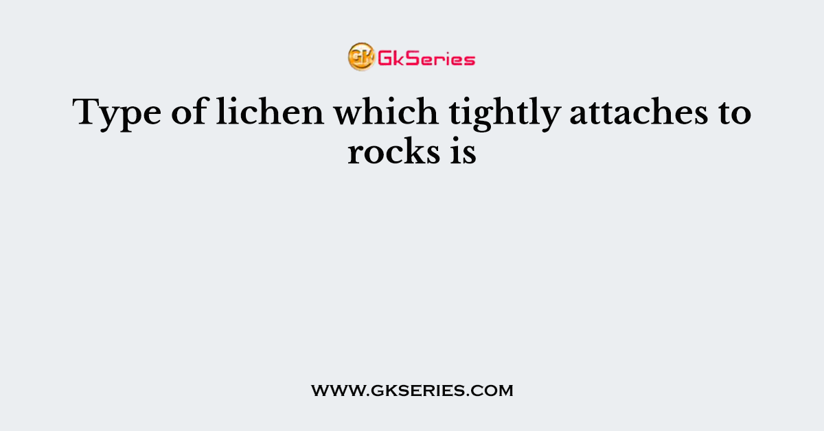 Type of lichen which tightly attaches to rocks is