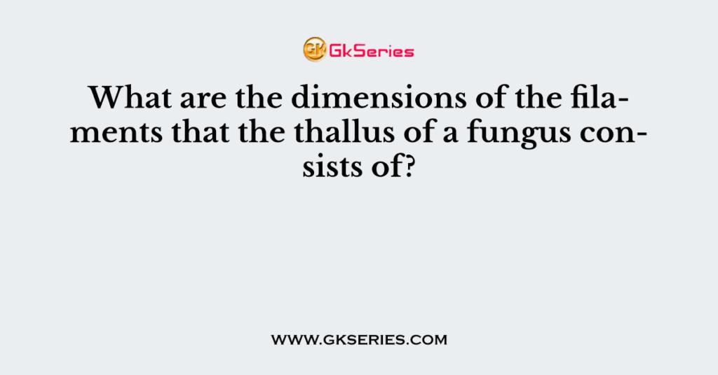 What are the dimensions of the filaments that the thallus of a fungus consists of?