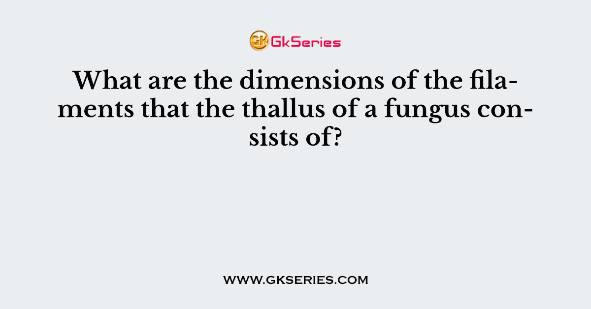 What are the dimensions of the filaments that the thallus of a fungus consists of?