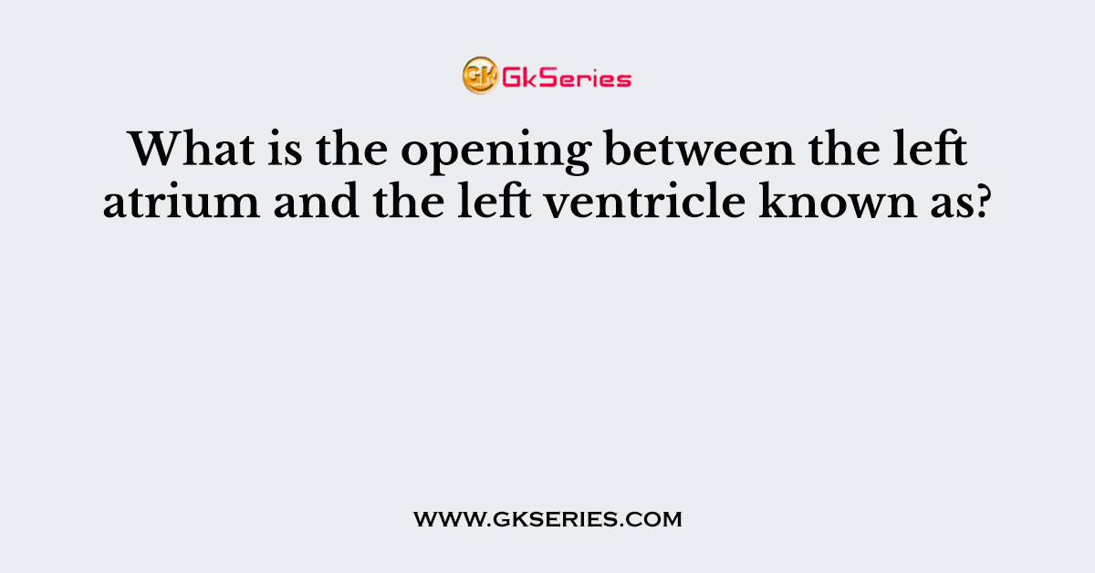 What is the opening between the left atrium and the left ventricle known as?