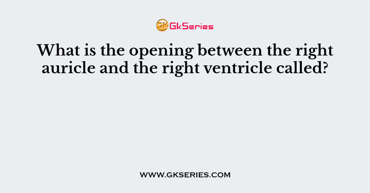 What is the opening between the right auricle and the right ventricle called?