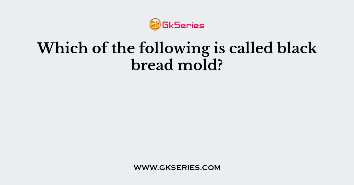 Which of the following is called black bread mold?