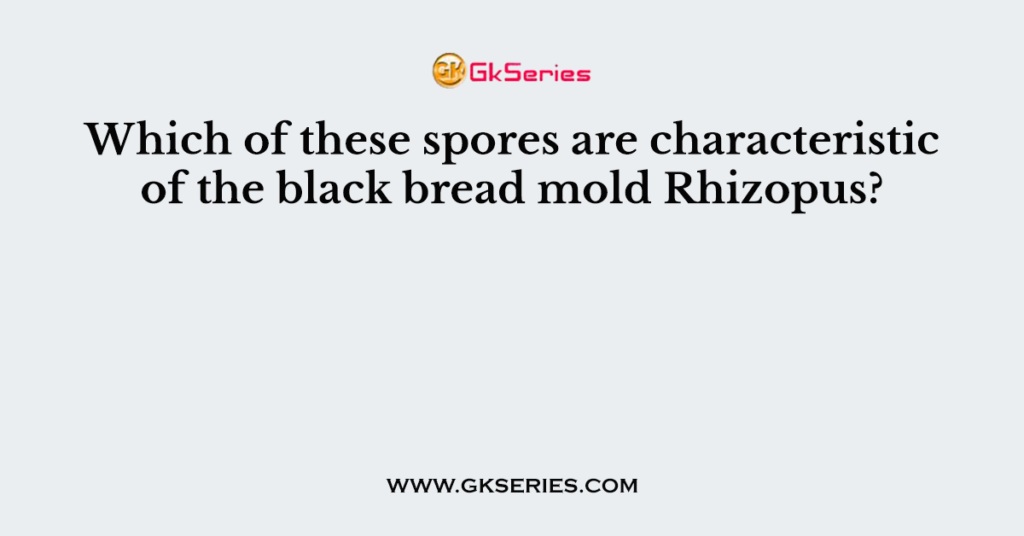 Which of these spores are characteristic of the black bread mold Rhizopus?