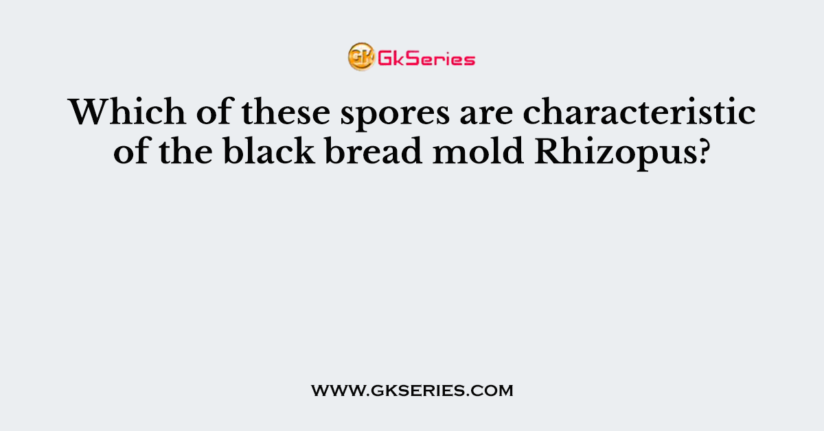 Which of these spores are characteristic of the black bread mold Rhizopus?