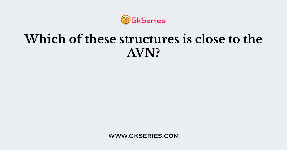 Which of these structures is close to the AVN?