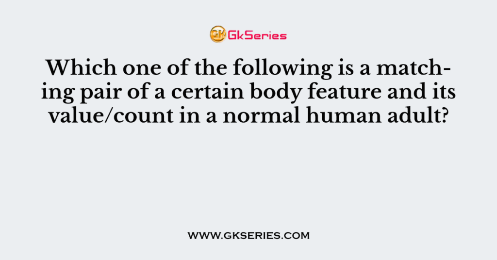 Which one of the following is a matching pair of a certain body feature and its value/count in a normal human adult?