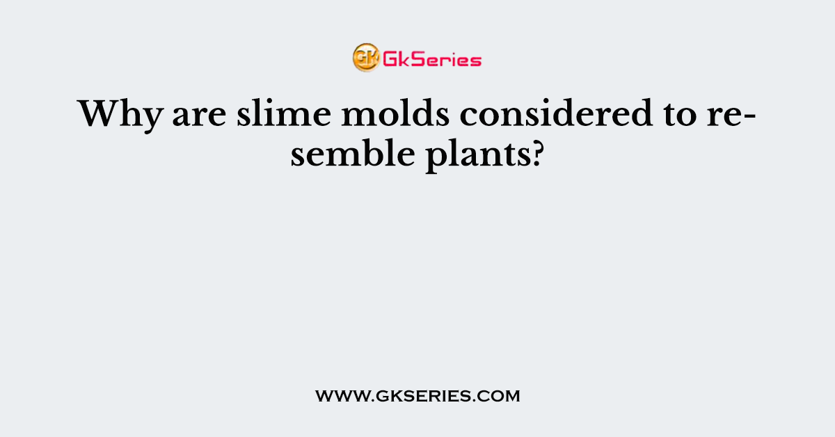 Why are slime molds considered to resemble plants?