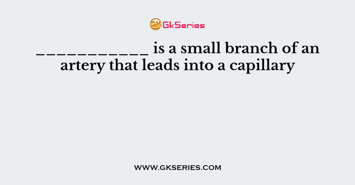 ___________ is a small branch of an artery that leads into a capillary