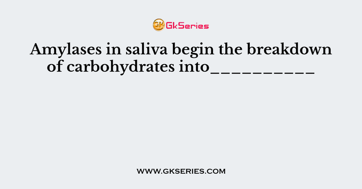 Amylases in saliva begin the breakdown of carbohydrates into__________