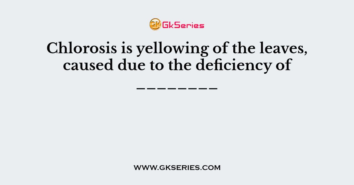 Chlorosis is yellowing of the leaves, caused due to the deficiency of ________