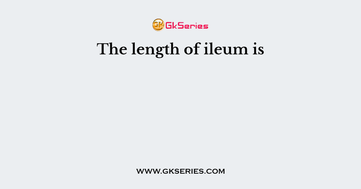 The length of ileum is