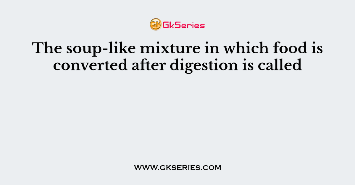The soup-like mixture in which food is converted after digestion is called