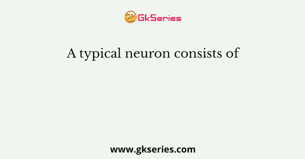 A typical neuron consists of