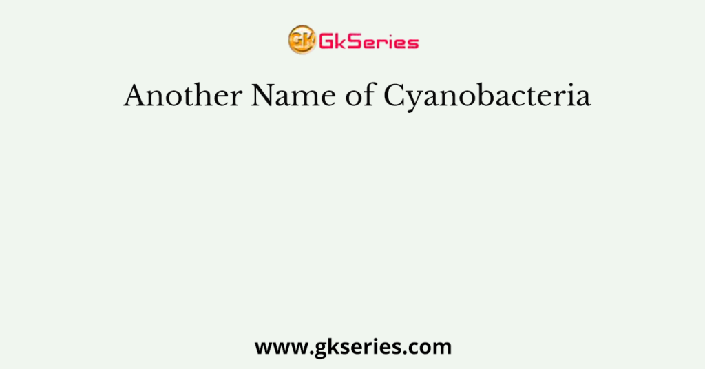 Another Name of Cyanobacteria