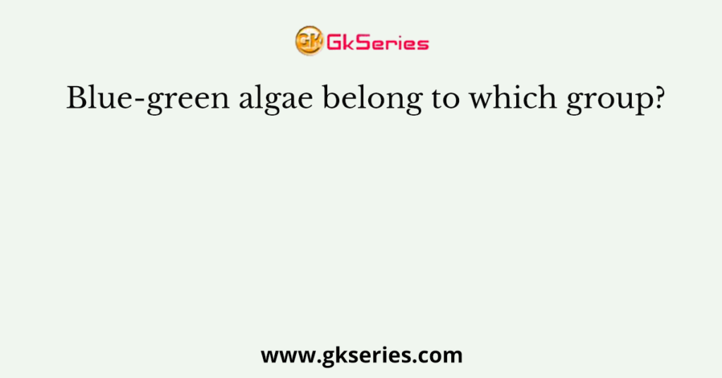 Blue-green algae belong to which group?