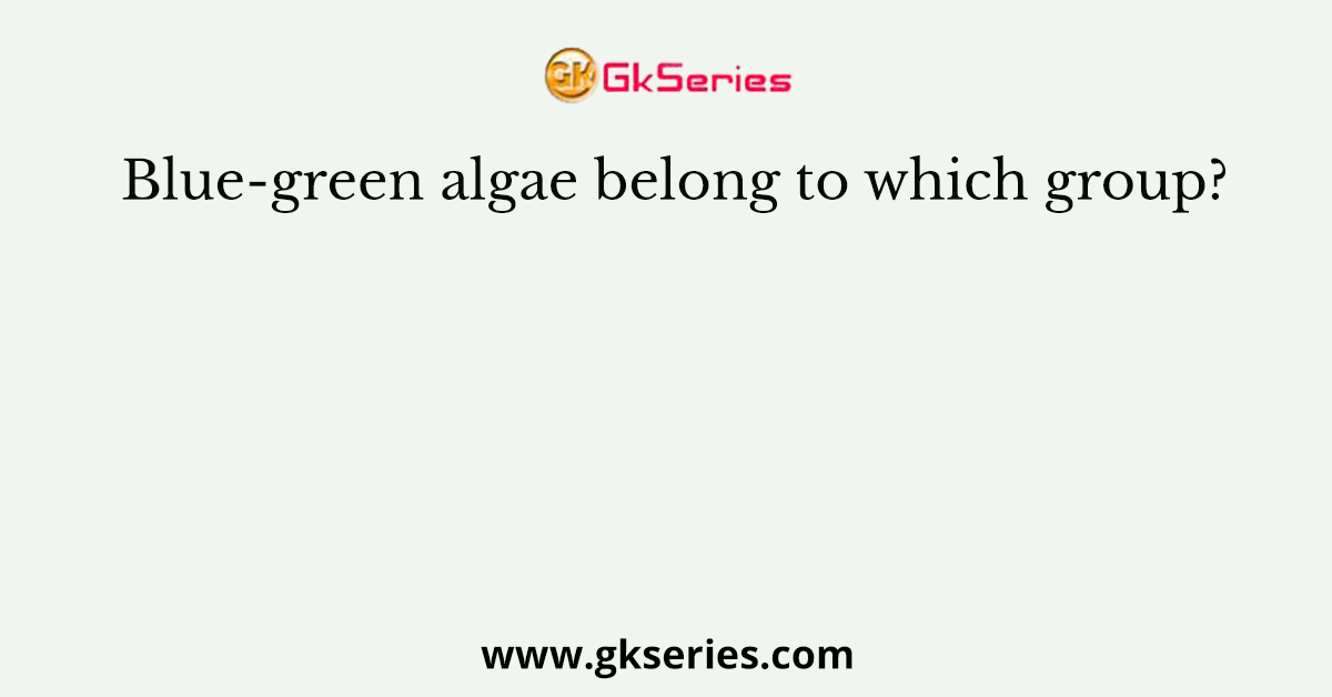 Blue-green algae belong to which group?