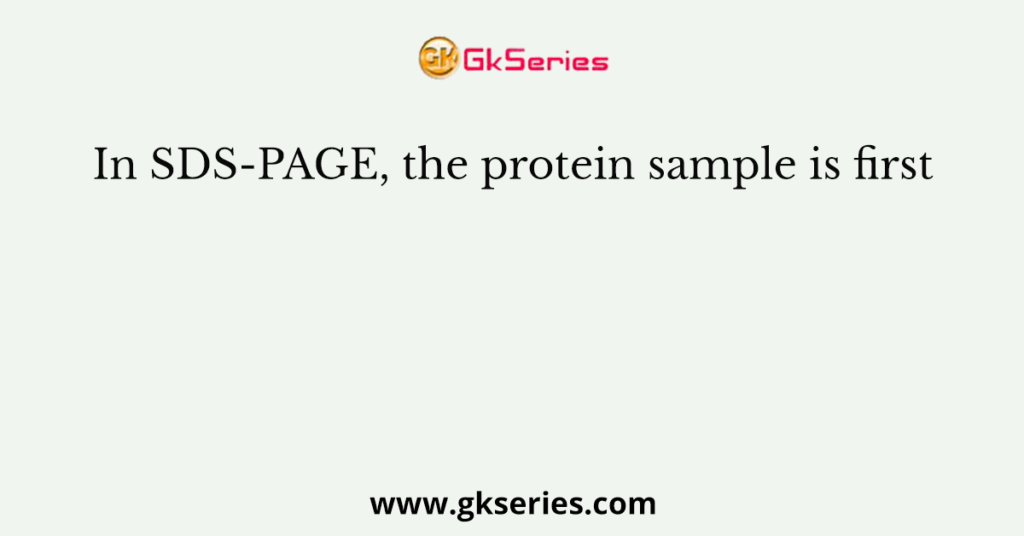 In SDS-PAGE, the protein sample is first