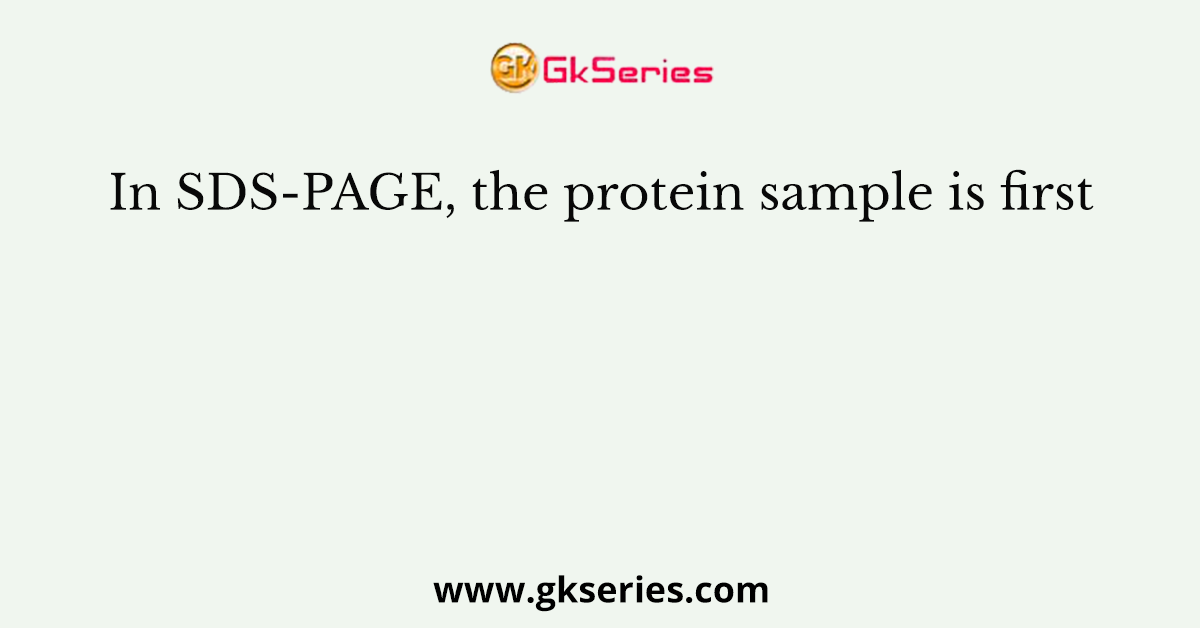In SDS-PAGE, the protein sample is first