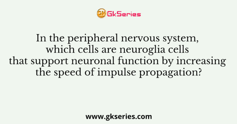 support cells of the peripheral nervous system