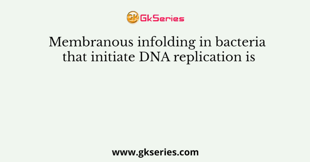 Membranous infolding in bacteria that initiate DNA replication is