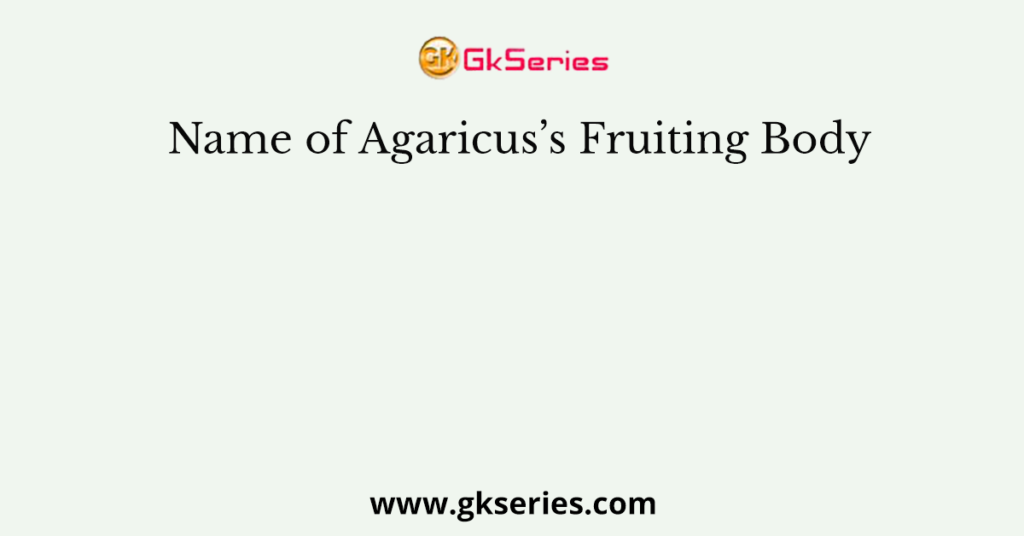 Name of Agaricus’s Fruiting Body